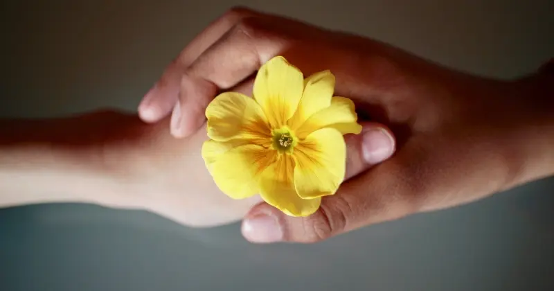 Dos manos de diferentes personas sujetando una flor, símbolo de confianza en relaciones abiertas.